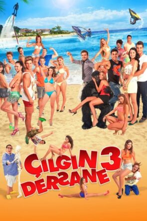 Çılgın Dersane 3 (2014)