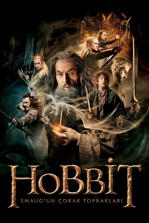 Hobbit: Smaug’un Çorak Toprakları (2013)