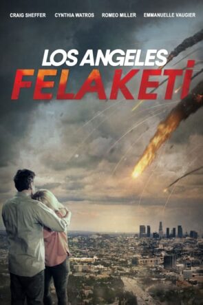 Los Angeles Felaketi (2017)