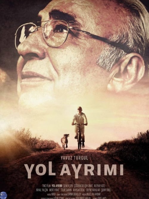 Yol Ayrımı (2017)